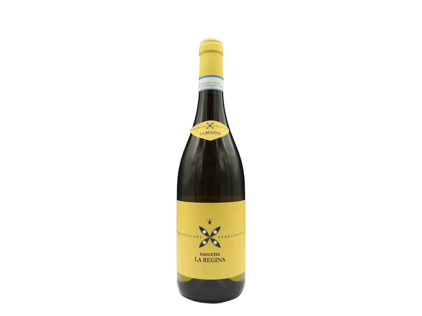 Langhe Nas-cëtta 2024