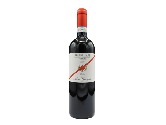 Barbera d'Alba Superiore "Pulin" 2024