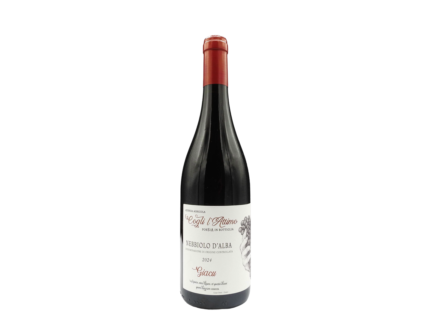Nebbiolo d'Alba "Giacu" 2024