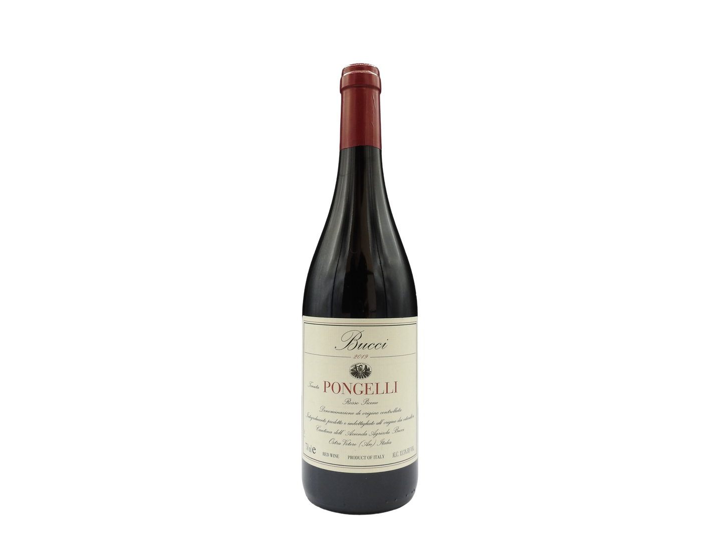 Rosso Piceno "Pongelli" 2019